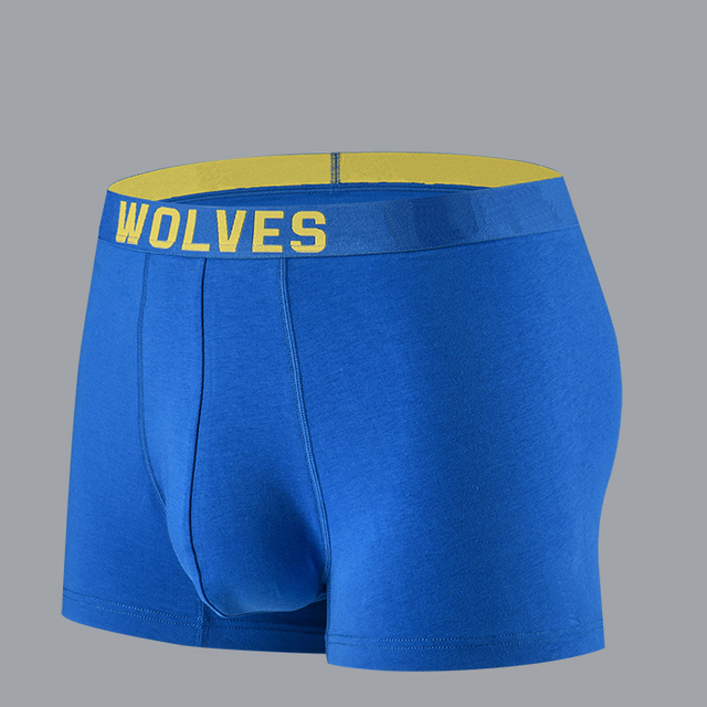 Men's underwear WA-003