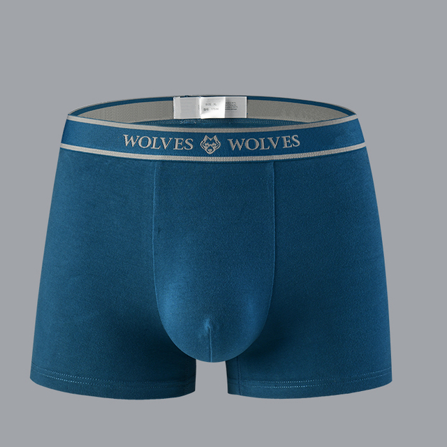 Men's underwear WA-006